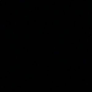 Meet your Posher, Wilmer